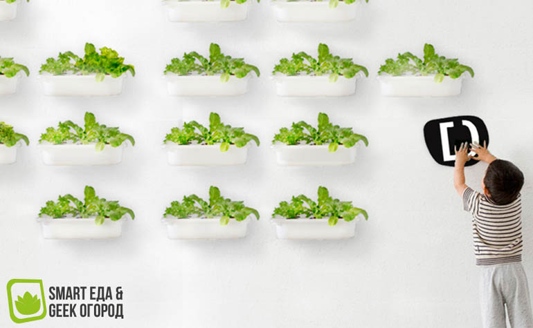 Первая в России выставка еды будущего - Smart Еда & Geek Огород